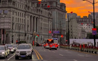 上海品茶快餐：2025年都市饮食新革命